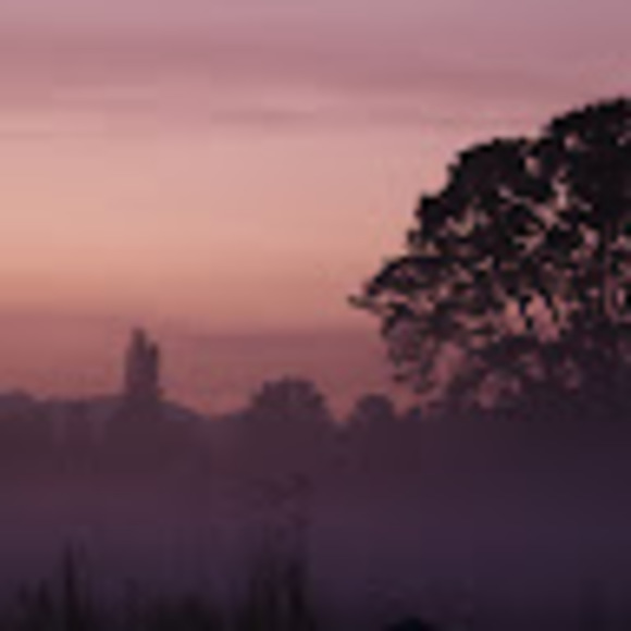 Meet your Posher, Taylor - Picture 1 of 1